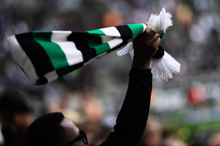 Fan mit Borussia Schal
