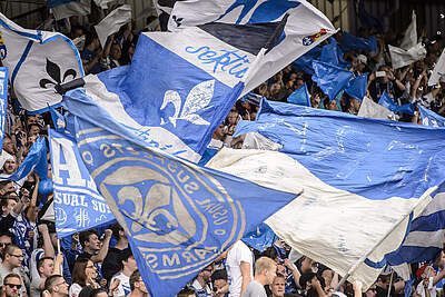 Fahnenmeer SV Darmstadt 98