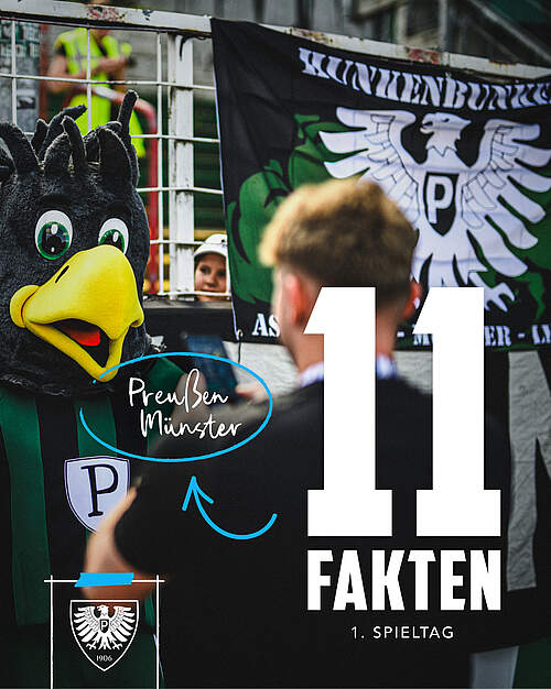 Grafik zur Fakten-11 gegen Preußen Münster mit dem Maskottchen "Fiffi"